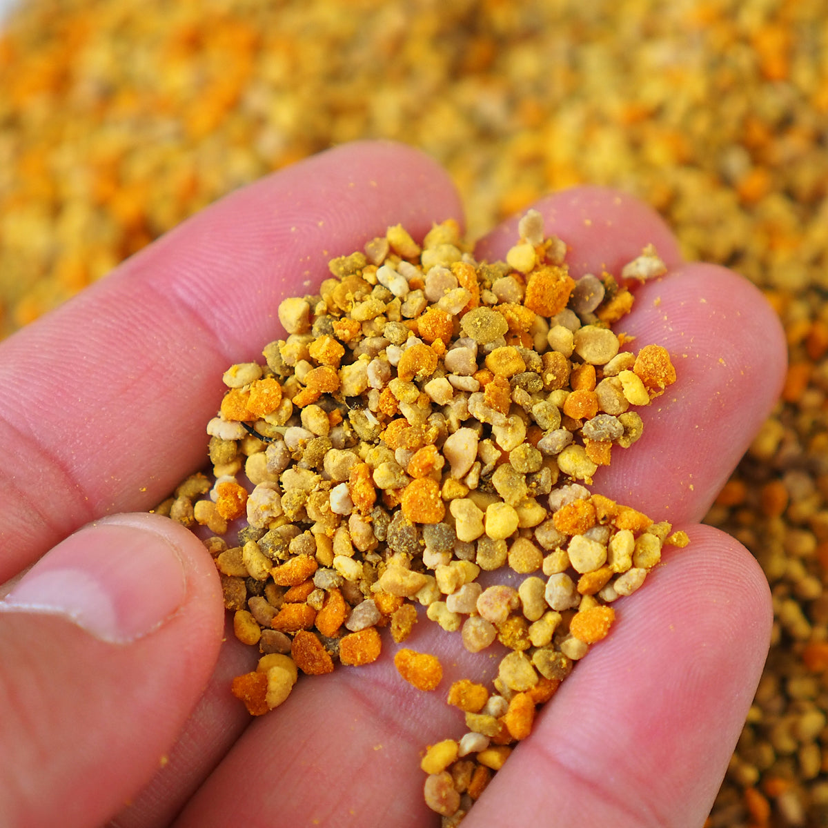 Pólen de abelha multifloral seco Mannavita • 200 g