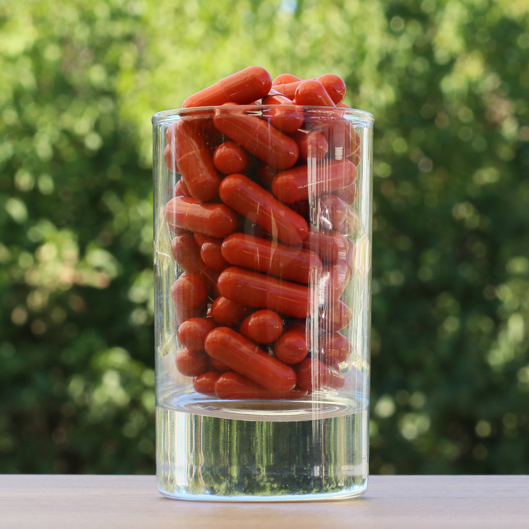 FEMNOX Geleia Real + Inositol + Ácido Fólico + Complexo B12 • 90 cápsulas