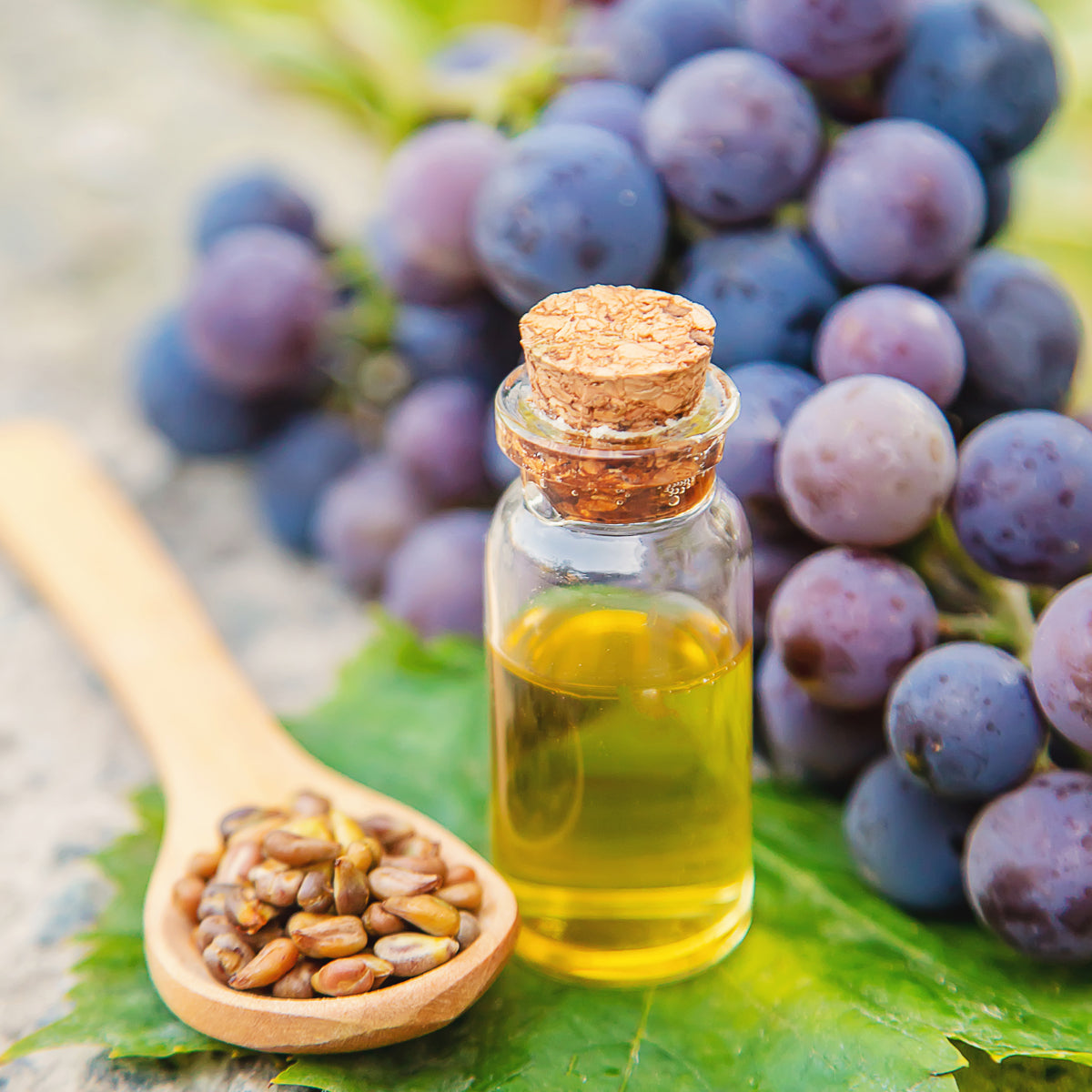 Mannavita Óleo de grainha de uva húngaro prensado a frio • 250 ml