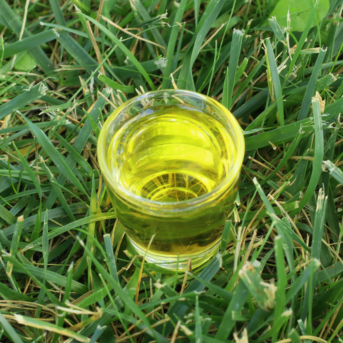 Óleo de sementes de cardo-mariano húngaro prensado a frio Mannavita • 250 ml