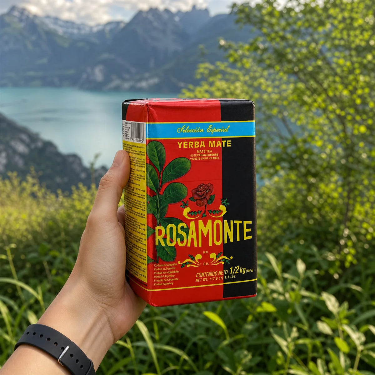 Chá de yerba mate Rosamonte • ESPECIAL • 500 g