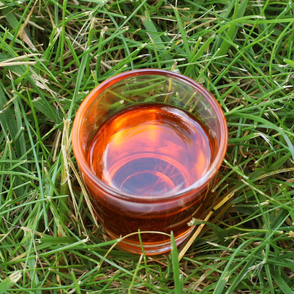 Óleo de sementes de espinheiro-mar húngaro prensado a frio Mannavita • 40 ml