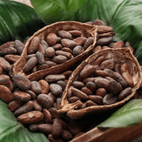 Mel de cacau cru Bilbo • 250 g