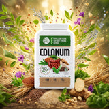 COLONUM cápsulas de limpeza do cólon e restauração intestinal • 100 cápsulas