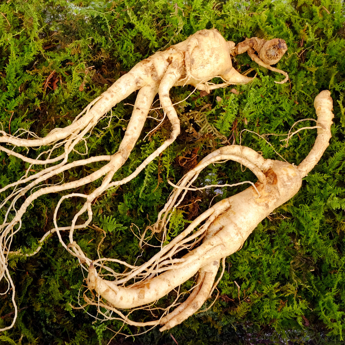 ENDOQIN manpower forte • 90 cápsulas