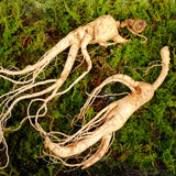 ENDOQIN manpower forte • 90 cápsulas