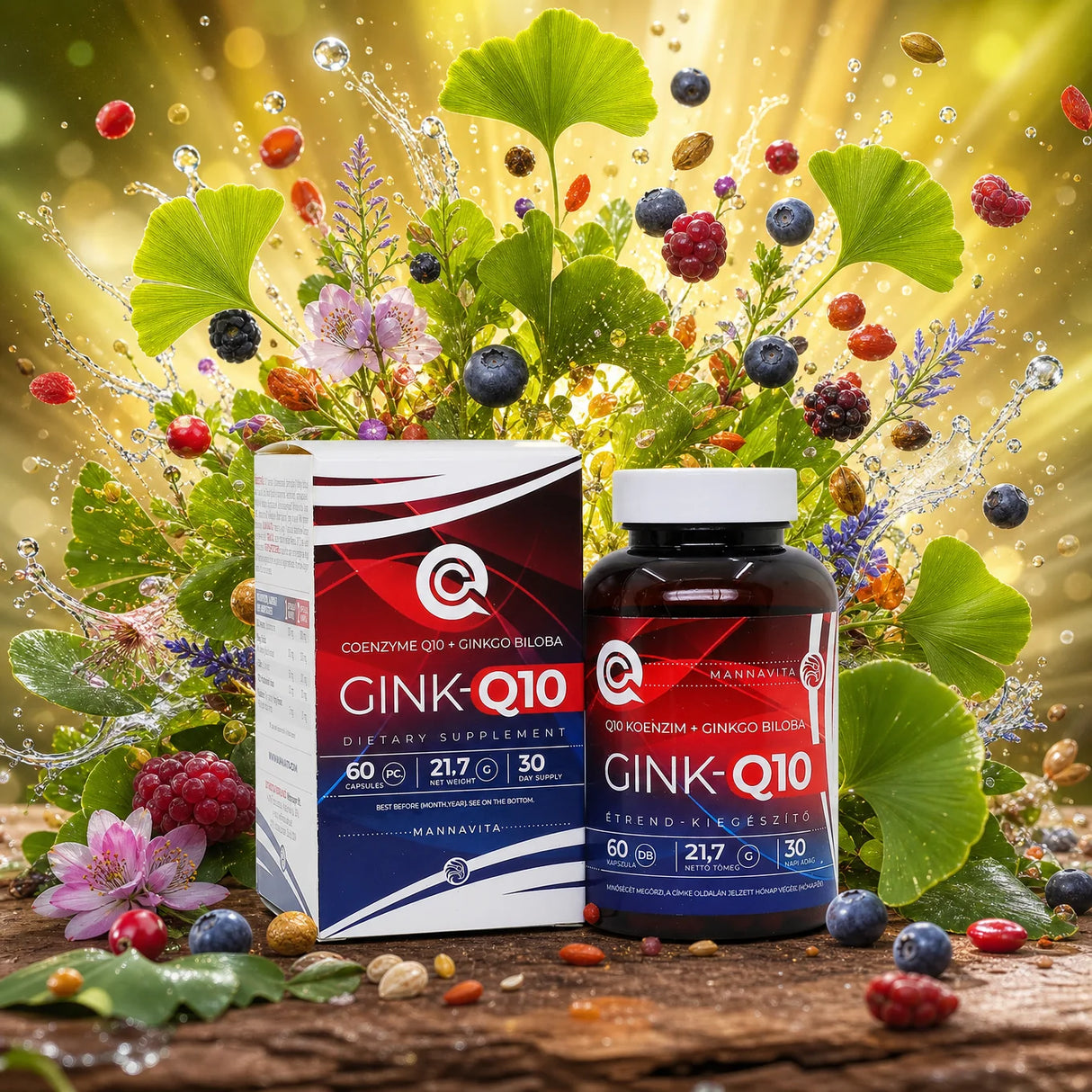 GINK-Q10 • Complexo de Coenzima Q10 + Ginkgo Biloba • 60 cápsulas