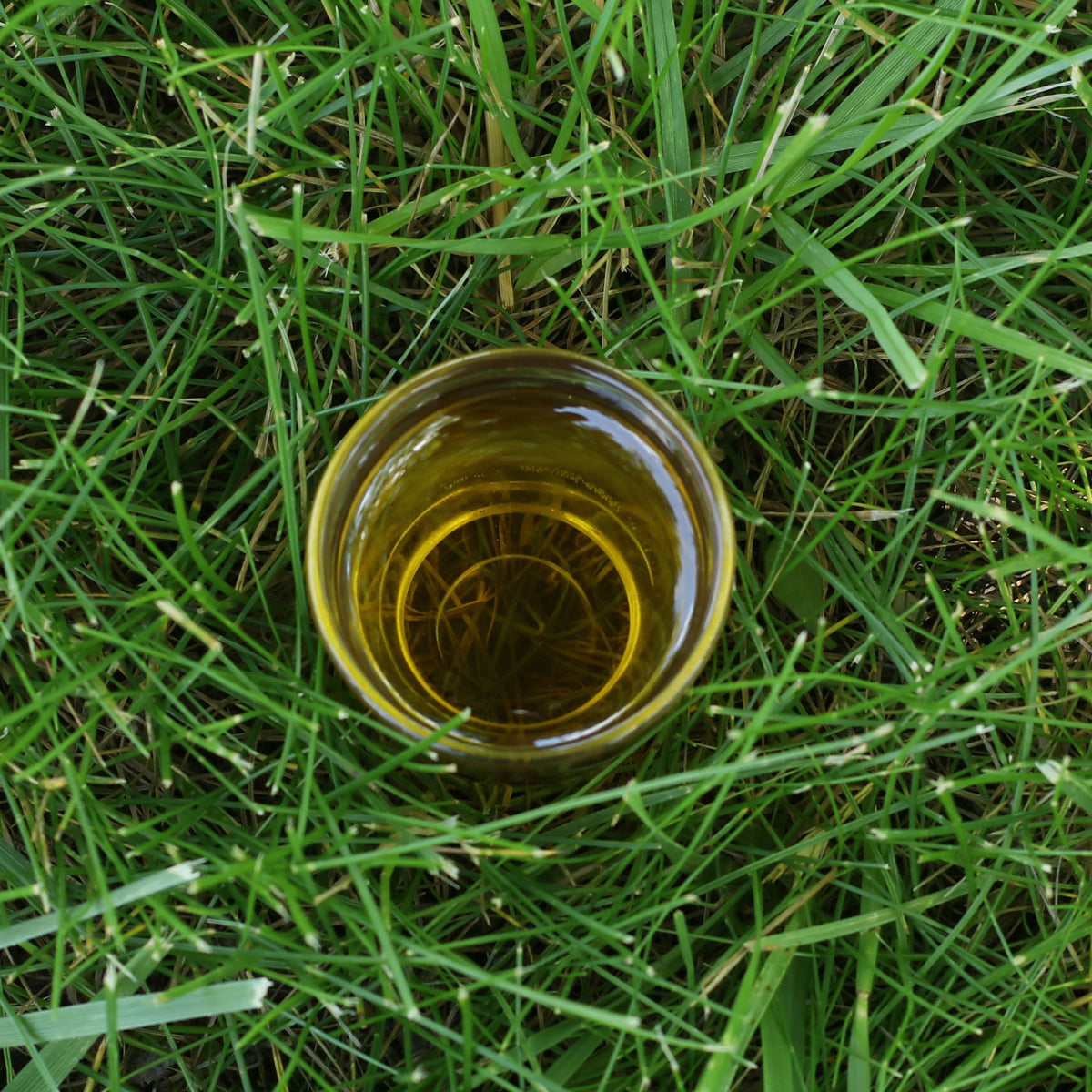 Mannavita Óleo de grainha de uva húngaro prensado a frio • 250 ml