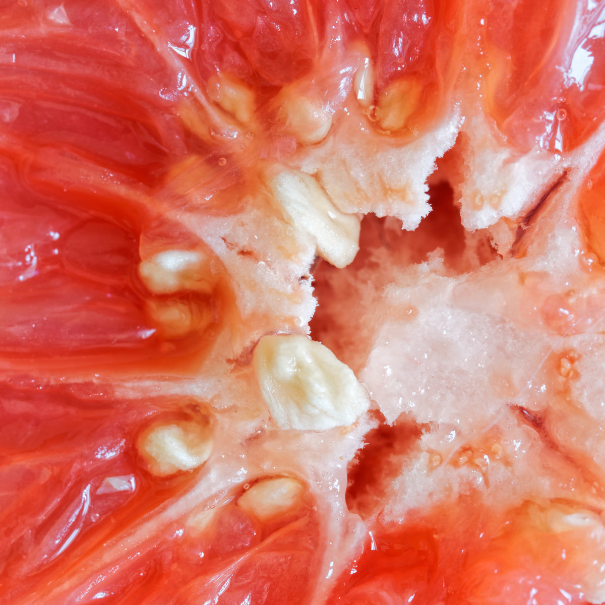 Gotas de extrato de sementes de toranja Mannavita • 100 ml