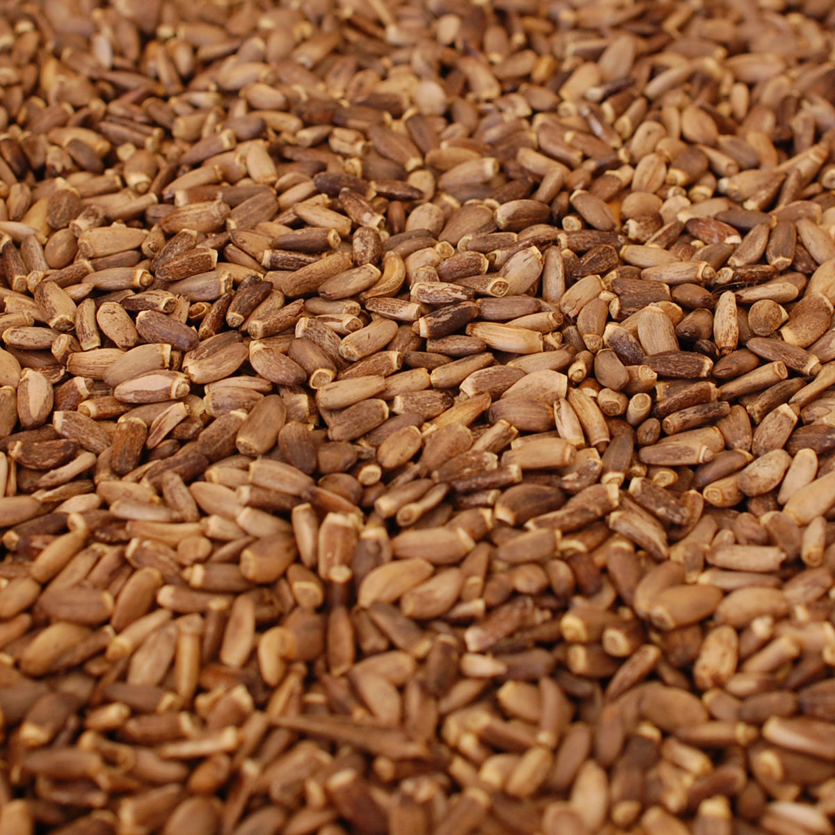 Óleo de sementes de cardo-mariano húngaro prensado a frio Mannavita • 250 ml