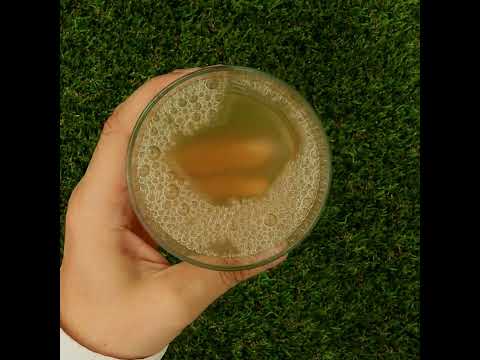 Mannavita • Sumo de Aloe vera, 100% puro prensado • 1000 ml