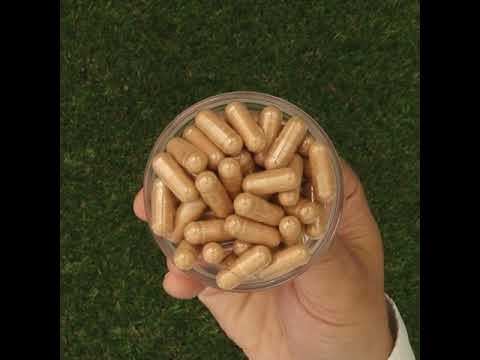 GINK-Q10 • Complexo de Coenzima Q10 + Ginkgo Biloba • 60 cápsulas