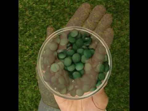 Mannavita, comprimidos de Spirulina 500 mg • 180 unid.