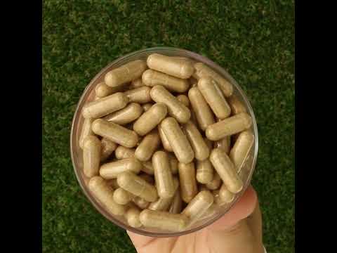 Ashwarax para alívio da ansiedade, pânico e insónia • 90 cápsulas