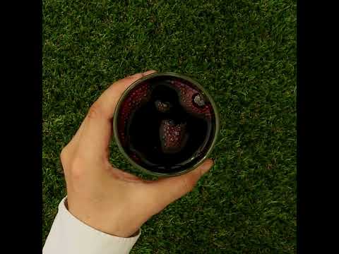 Mannavita • Sumo de Arando, 100% puro prensado • 500 ml