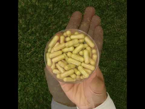 ENZIMA+ complexo de enzimas digestivas, com Betaina HCL • 90 cápsulas