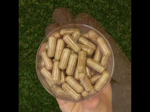 Complexo HEPADEX regenerador do fígado e promotor da saúde hepática • 60 cápsulas