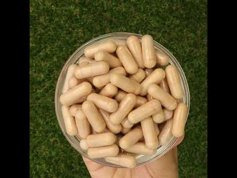 PrOcum complexo Fortalecedor Ocular • 60 cápsulas