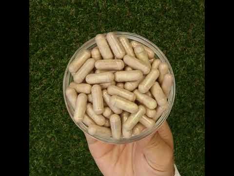 Mannavita complexo de Vitamina C • 250 mg bioativo • 60 cápsulas