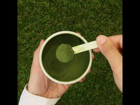 Mannavita pó de sumo de Erva de Trigo cru • sem glúten • 140g