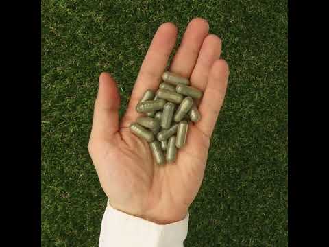 IMUNEX complexo de algas • com 5 algas • 180 cápsulas