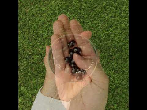 MegaKRILL 1500 mg óleo de krill + óleo de peixe • 90 cápsulas