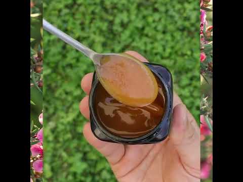 Melora Mel de Manuka 525+ MGO™ UMF 15 • 250g