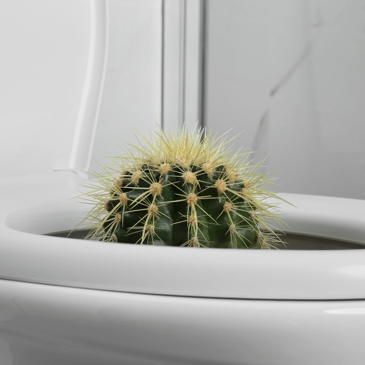 Creme Proctan para Hemorróidas • 50 ml