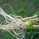 PROSTAX complexo prostático • 60 cápsulas