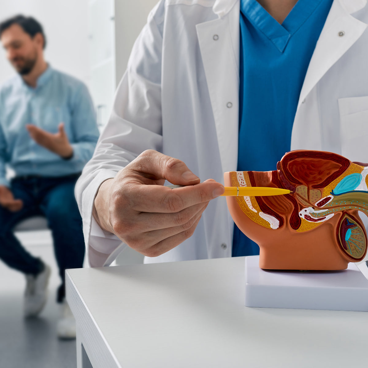 PROSTAX complexo prostático • 60 cápsulas