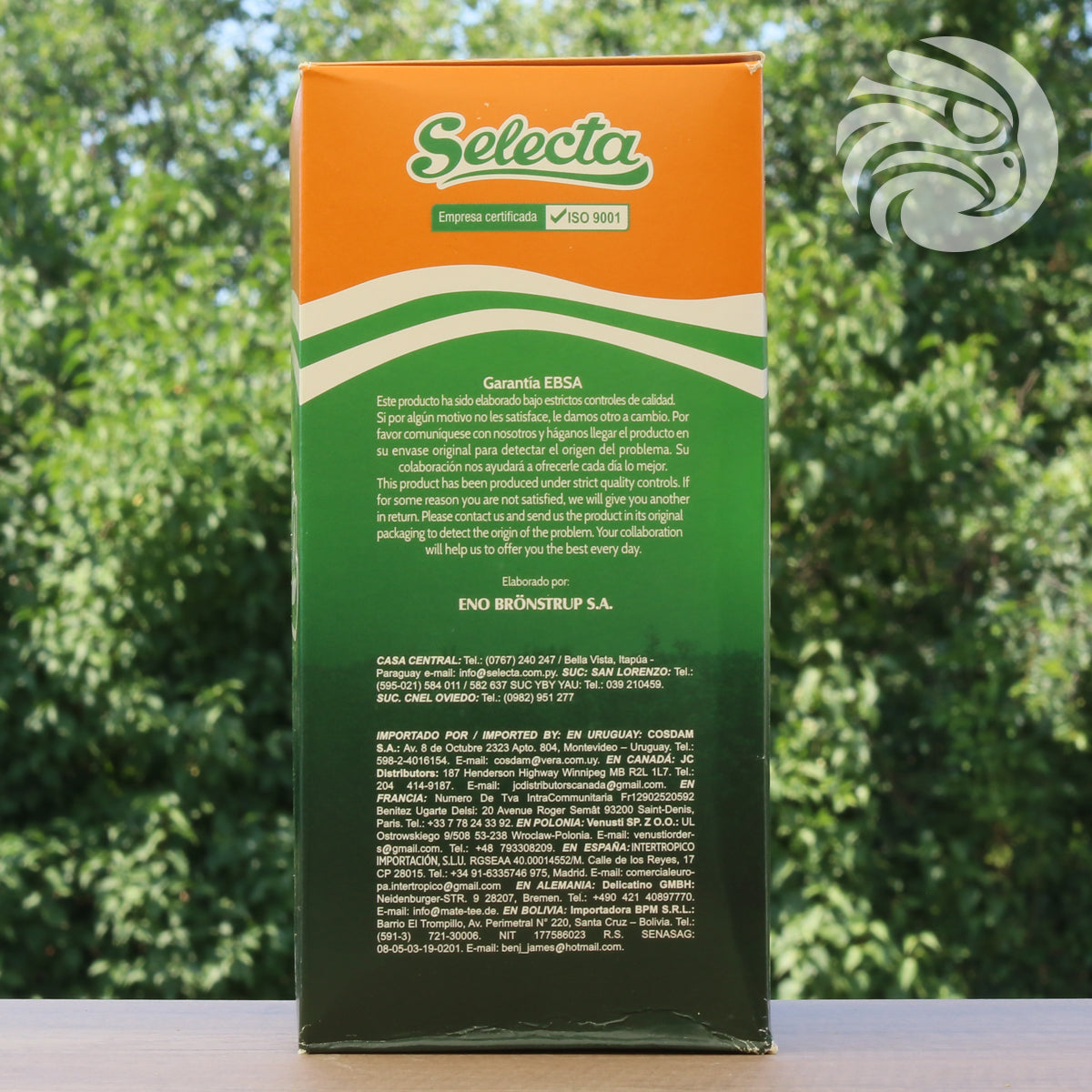 Chá de yerba mate Selecta • Boldo + Hortelã • 500 g