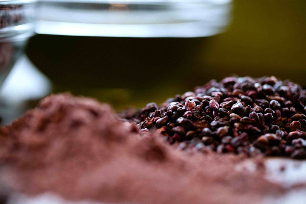 Viniseera Pó de sementes de uva • 150 g